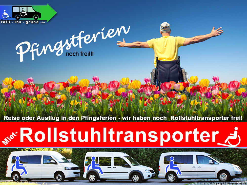Rollstuhltransporter für Pfingstferien mieten -Ausflug, Reise, Pfingstferein - wir haben noch Rollstuhtransporter frei