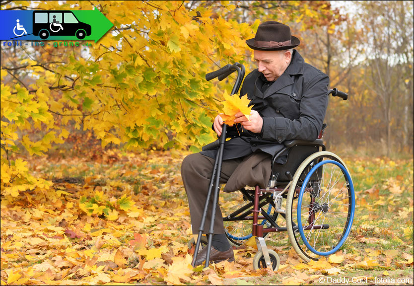 Herbst im Rollstuhl alter Mann im Rollstuhl